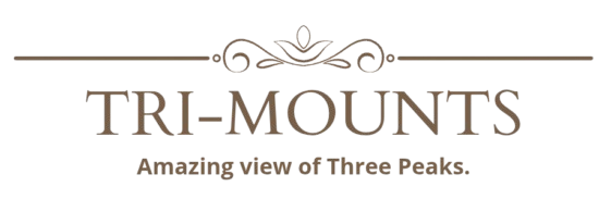 Trimounts — A boutique Himalayan stay in Tirthan Valley