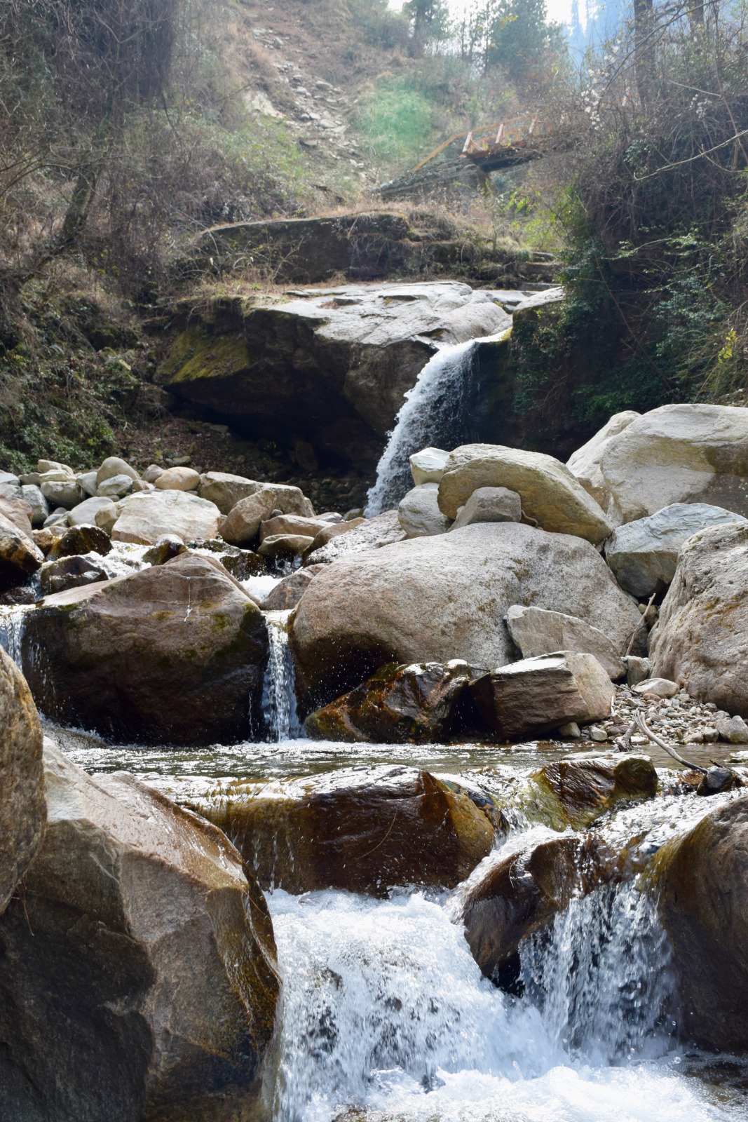 Tirthan valley waters used in naturopathy and hydrotherapy