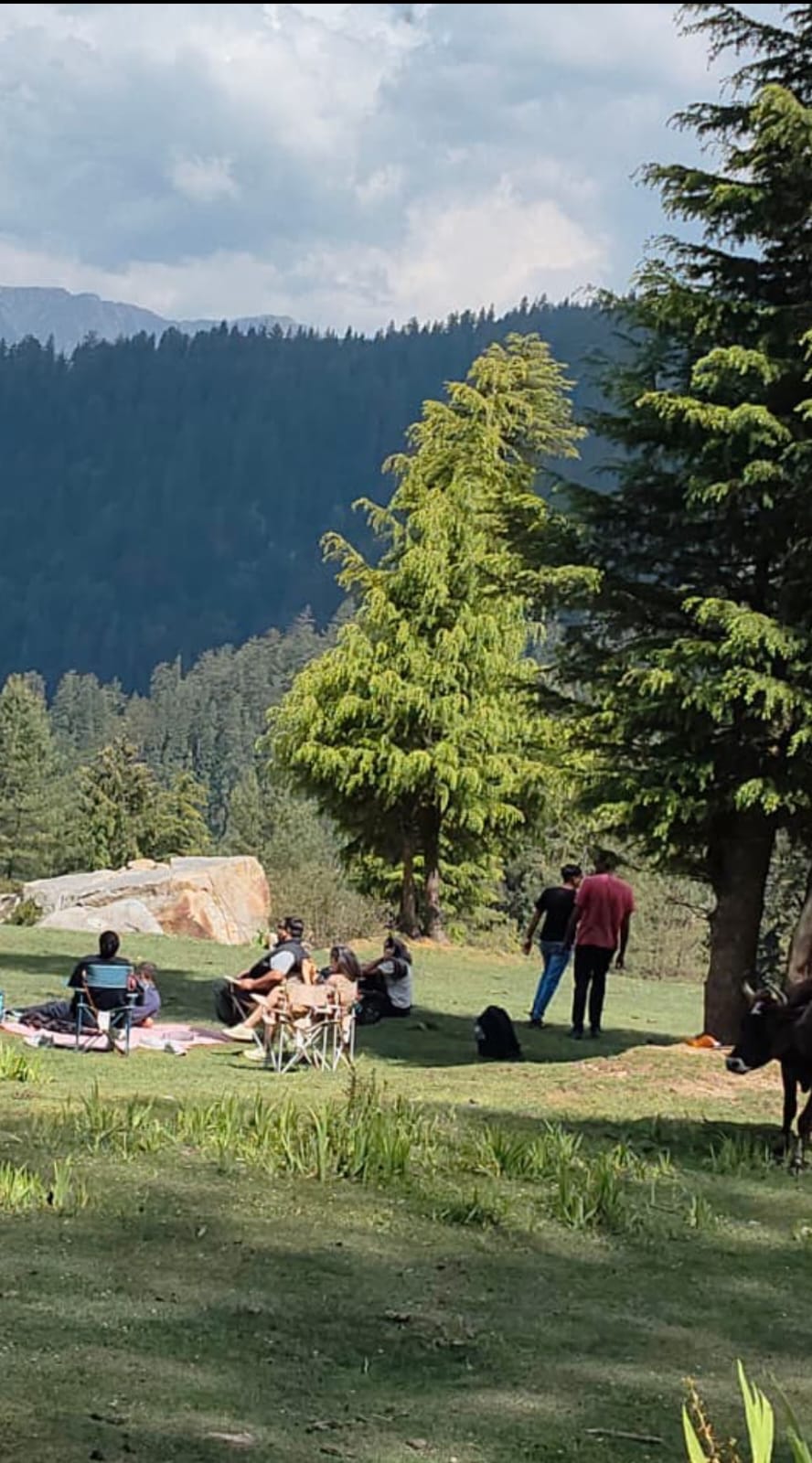 A guided meadow picnic at Barasari